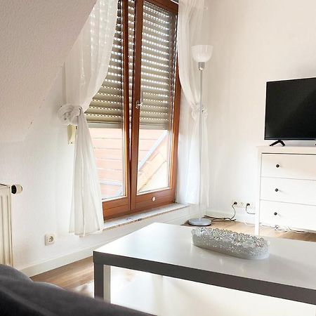 Schoenes 1 Zimmer Apartment Mit Dachterrasse Glauchau Bagian luar foto