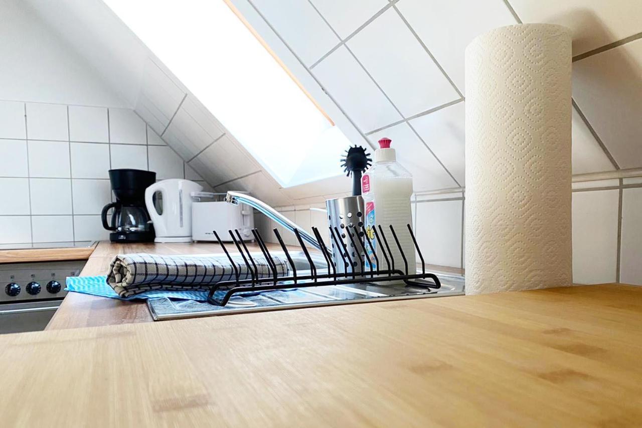Schoenes 1 Zimmer Apartment Mit Dachterrasse Glauchau Bagian luar foto