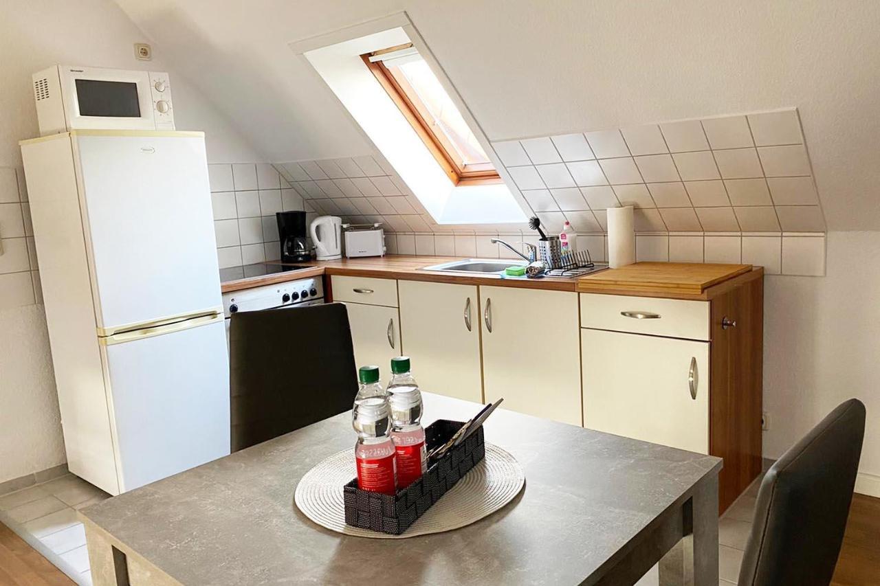 Schoenes 1 Zimmer Apartment Mit Dachterrasse Glauchau Bagian luar foto